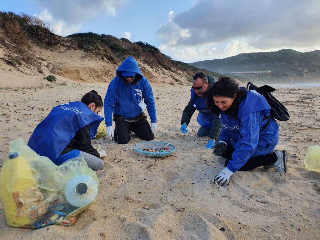 71e1310d 9224 4707 Bcf2 33ec7a9246d4