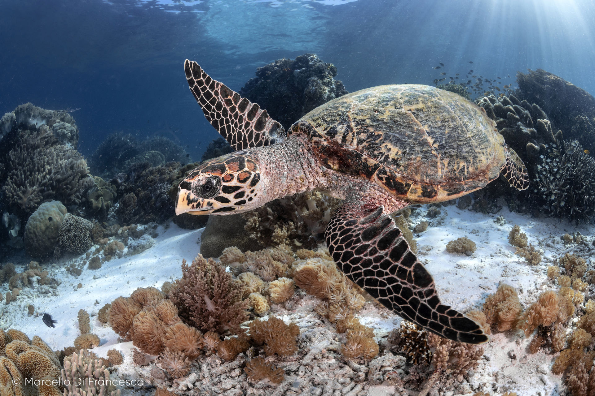 Plastic Free e non solo