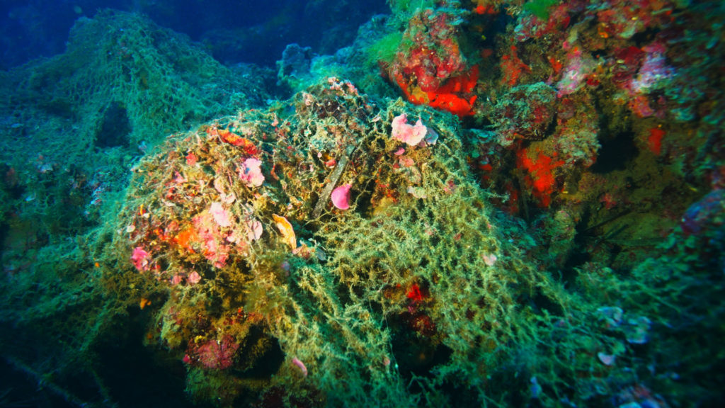 Untitled 1.1.1 Copia