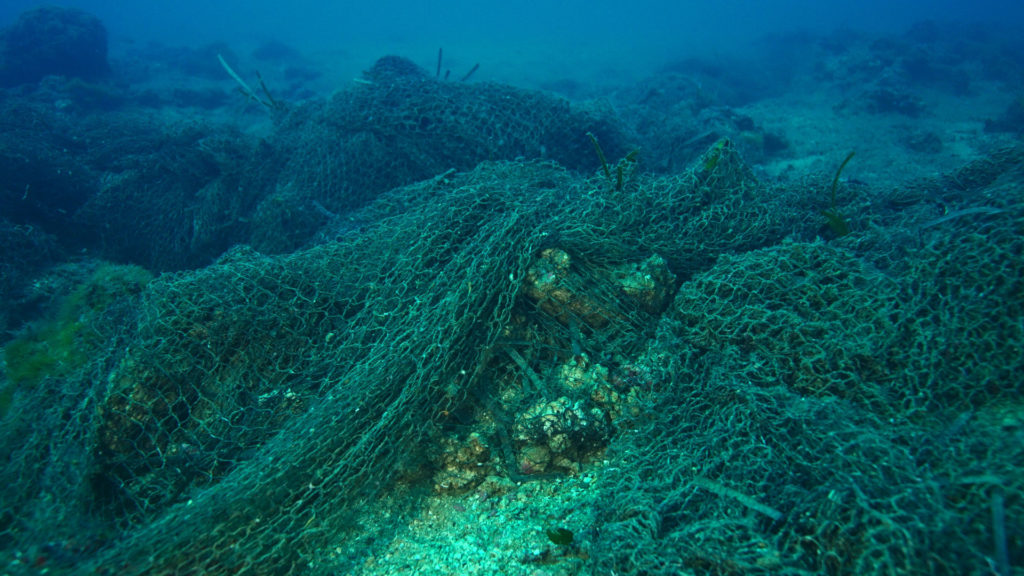 Untitled 1.26.1 Copia