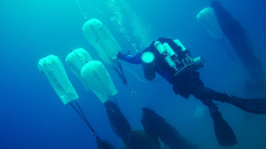 Untitled 1.56.2 Copia