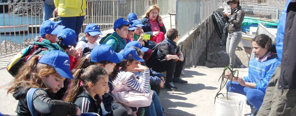 4 TREASURE OF THE SEA POSIDONIA