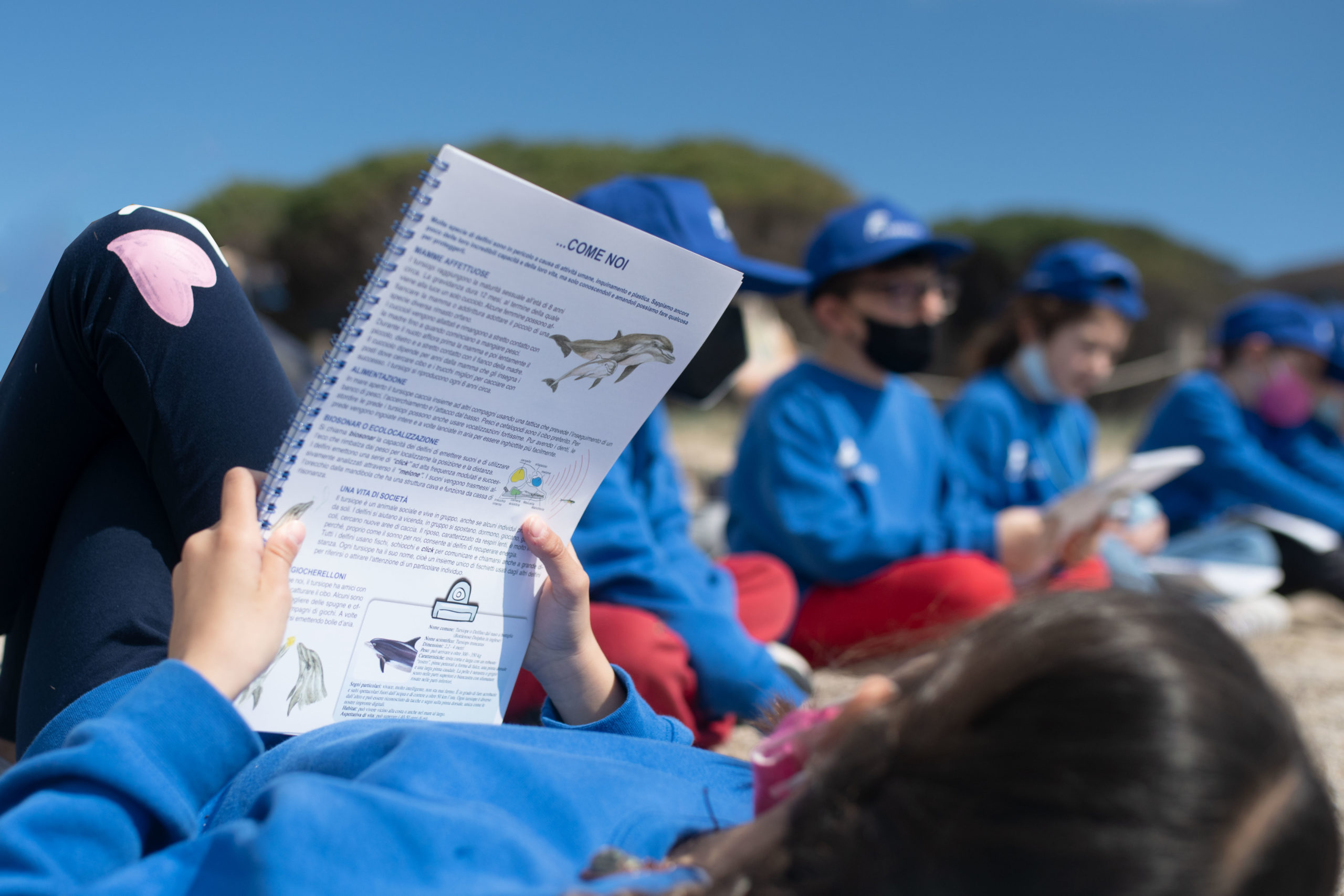 Delfini Guardiani – Questionari conclusivi