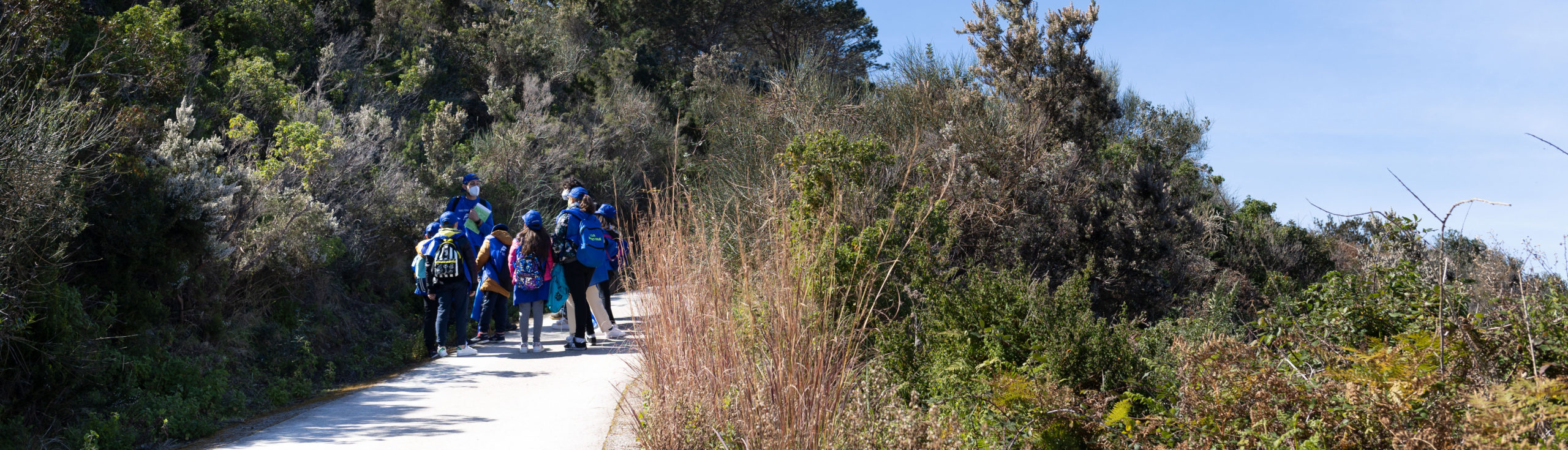 Delfini Guardiani – Isole