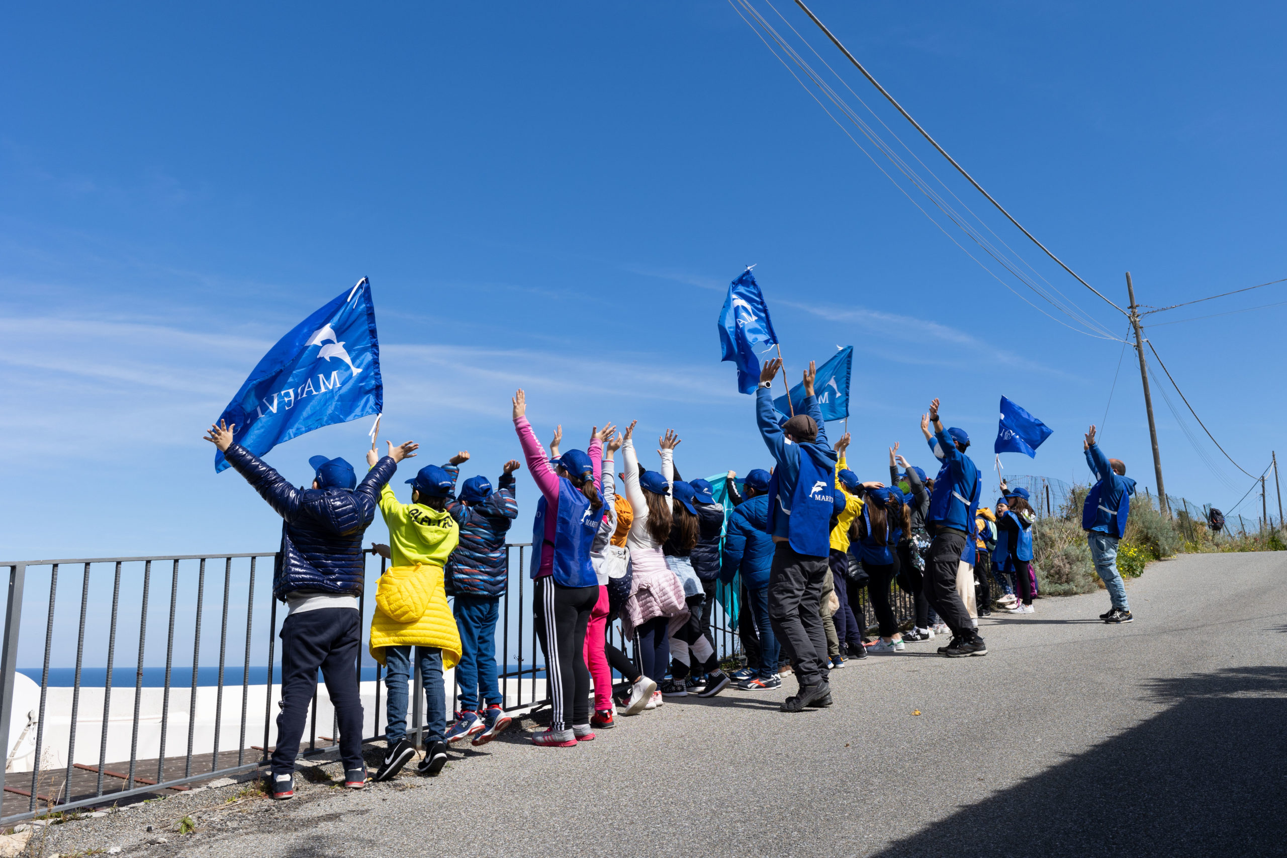 Delfini Guardiani – Per saperne di più