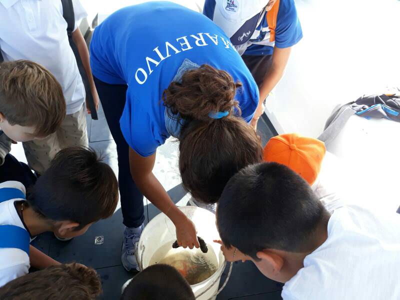 IMG 20191015 WA0006 Resized 20191021 063220279