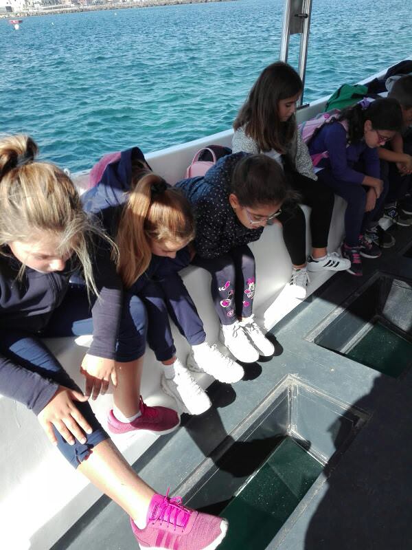 IMG 20191016 WA0045 Resized 20191021 063221504