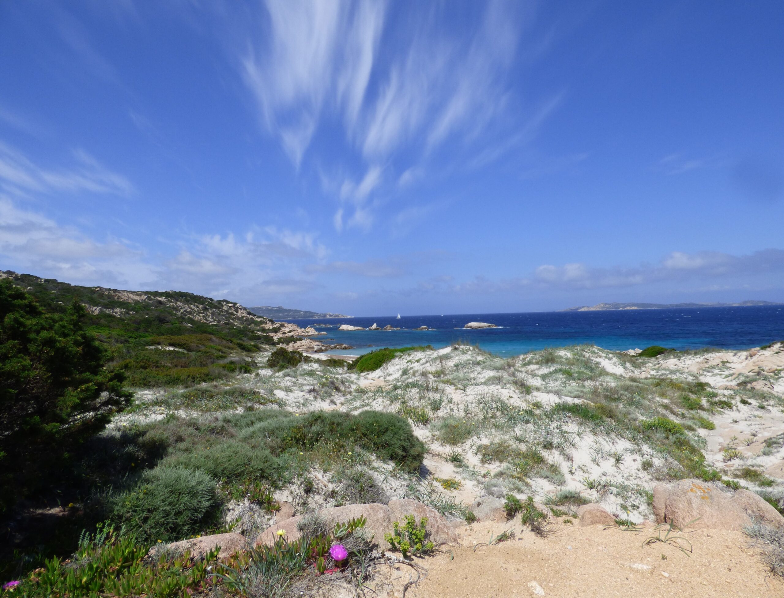 Delfini Guardiani – La Maddalena