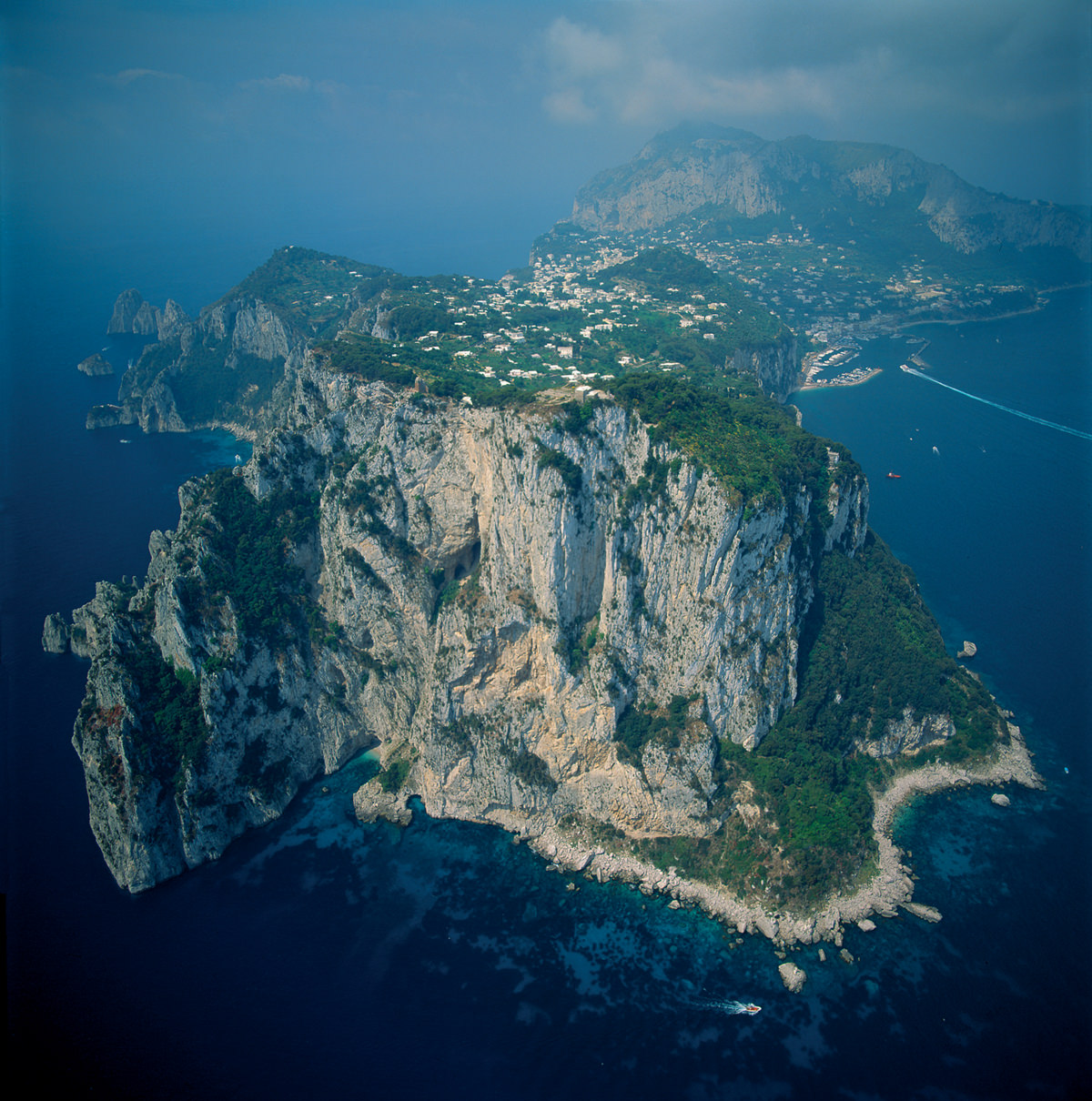 Delfini Guardiani – Capri