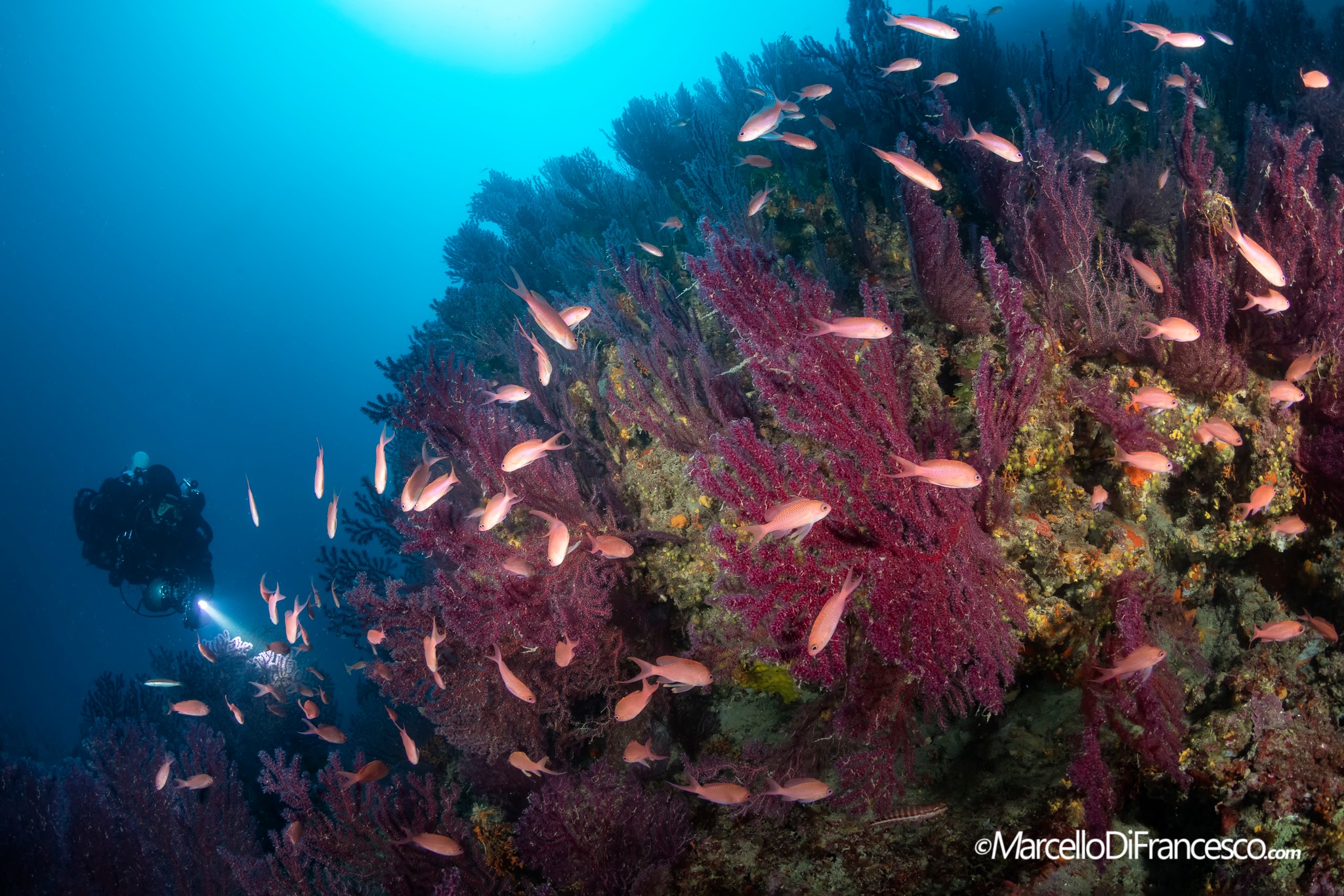 Il mare al tempo del Coronavirus