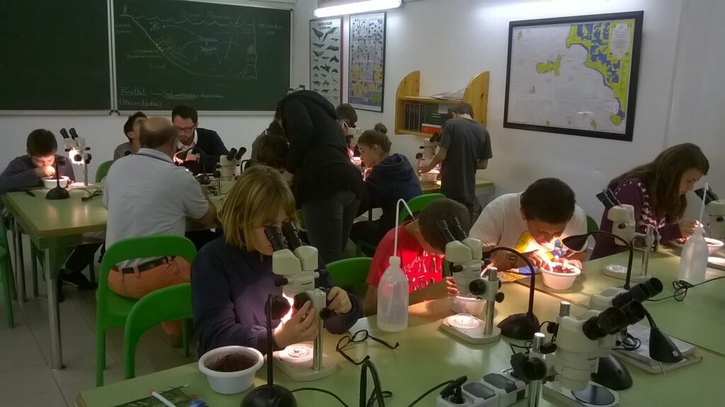 WP 20141022 12 31 19 Pro