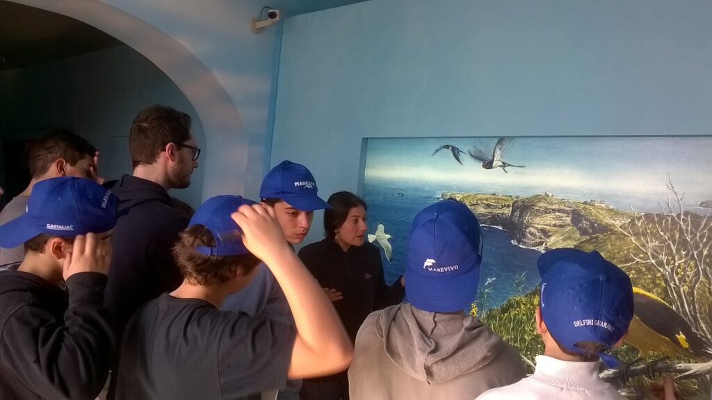 WP 20150326 10 05 19 Pro