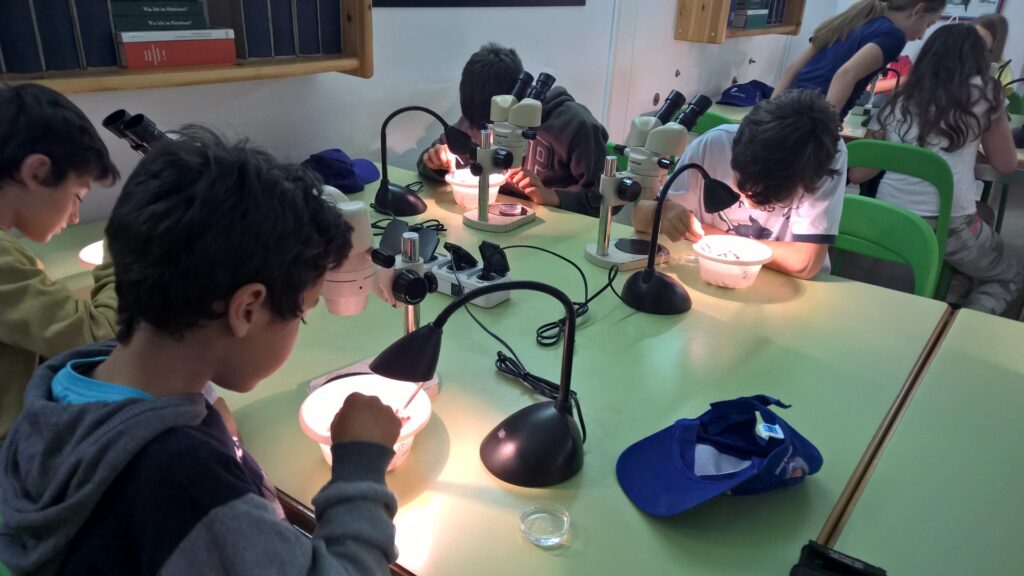 WP 20150424 17 15 44 Pro