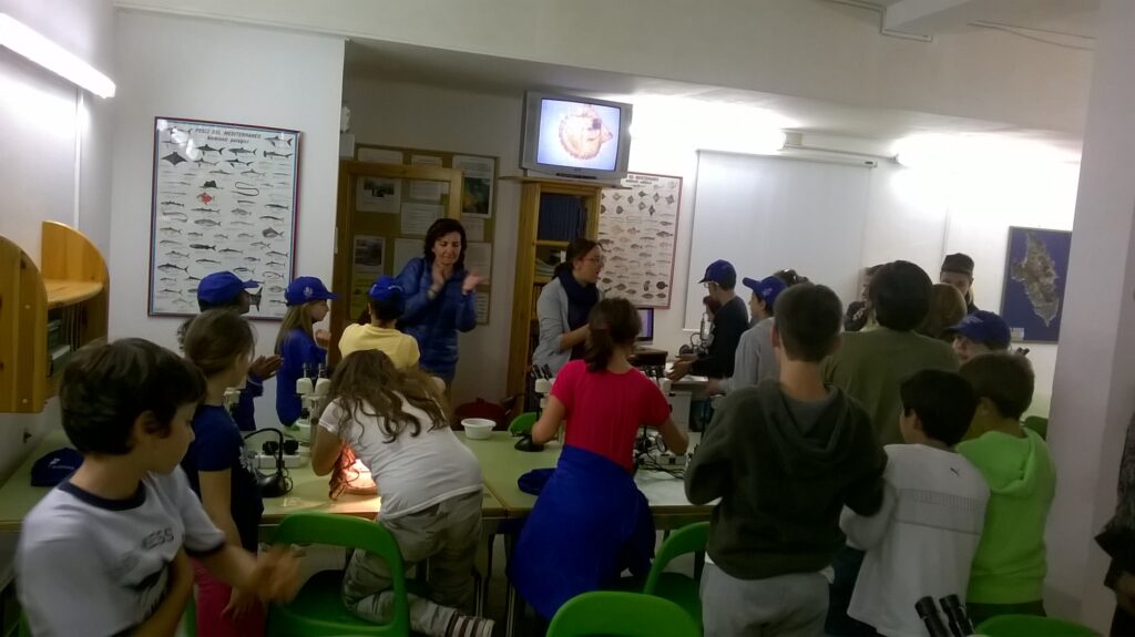 WP 20150424 17 42 53 Pro