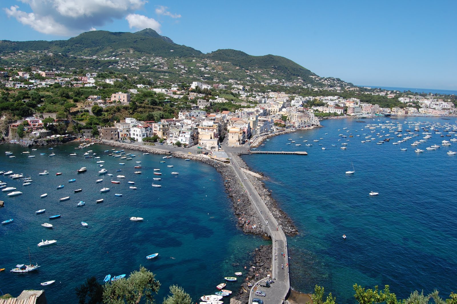 Delfini Guardiani – Ischia