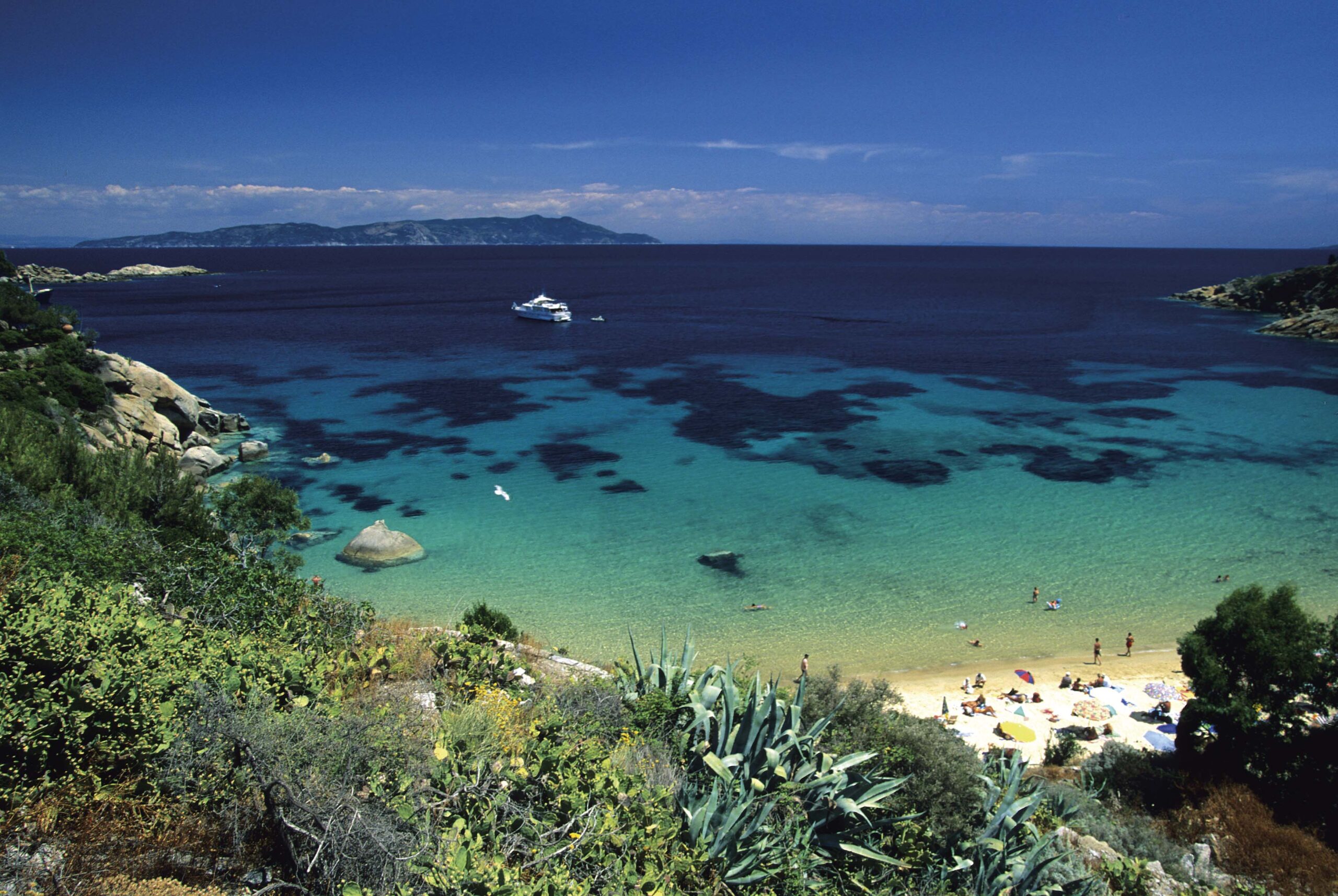 Delfini Guardiani – Giglio