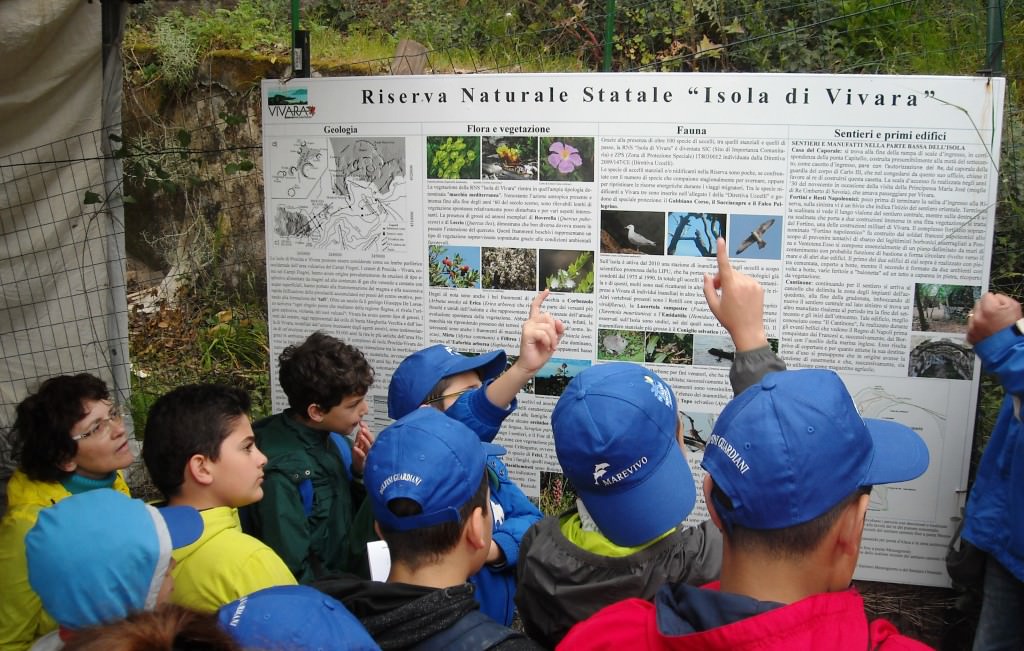 Riserva Vivara