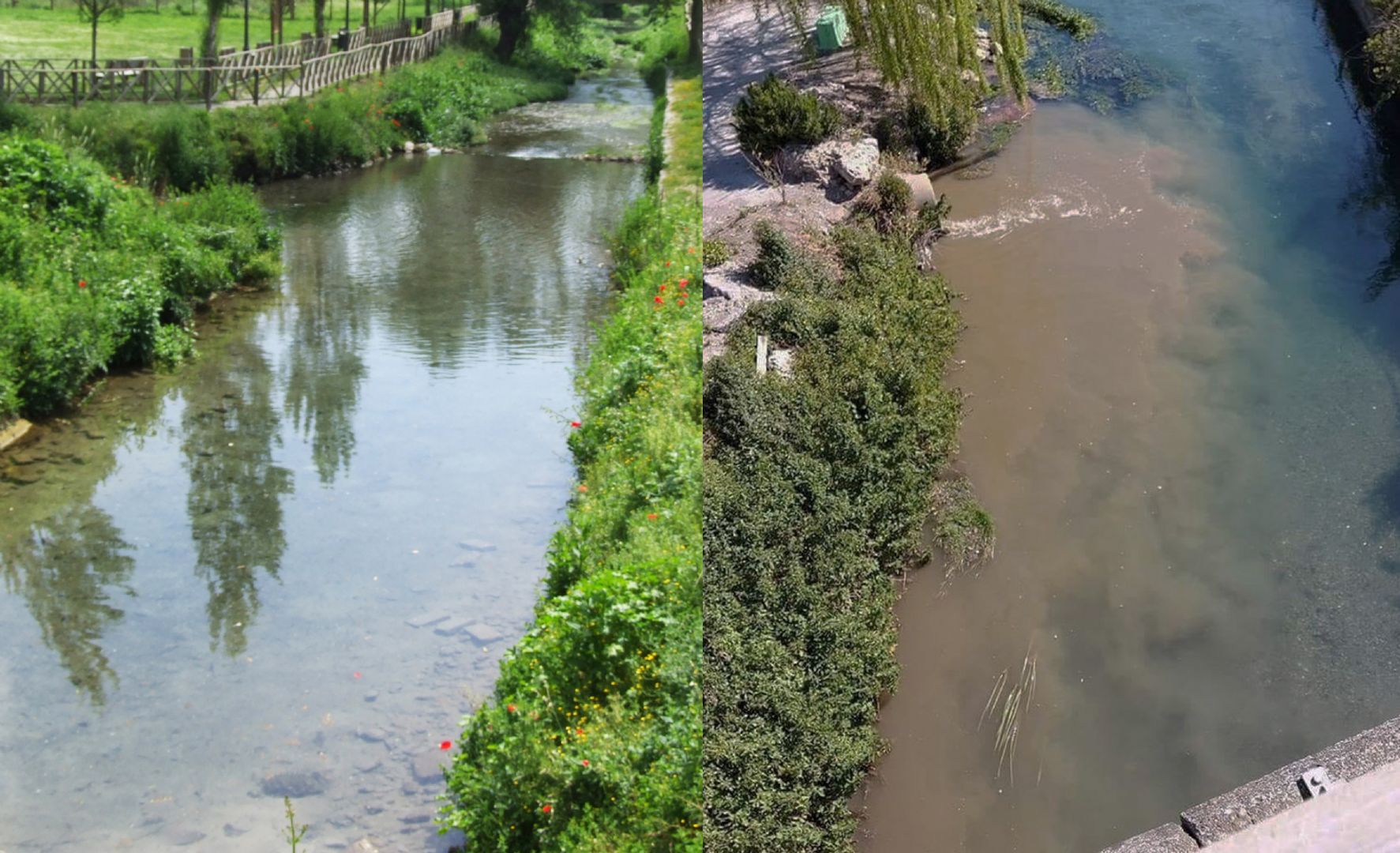 Fase 2 Coronavirus, il Sarno torna inquinato. Marevivo chiede un intervento urgente