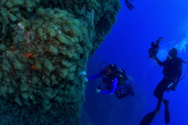 1425a9c2 0647 4d5d A1d5 9cd8cb688f47 1425a9c2 0647 4d5d A1d5 9cd8cb688f47