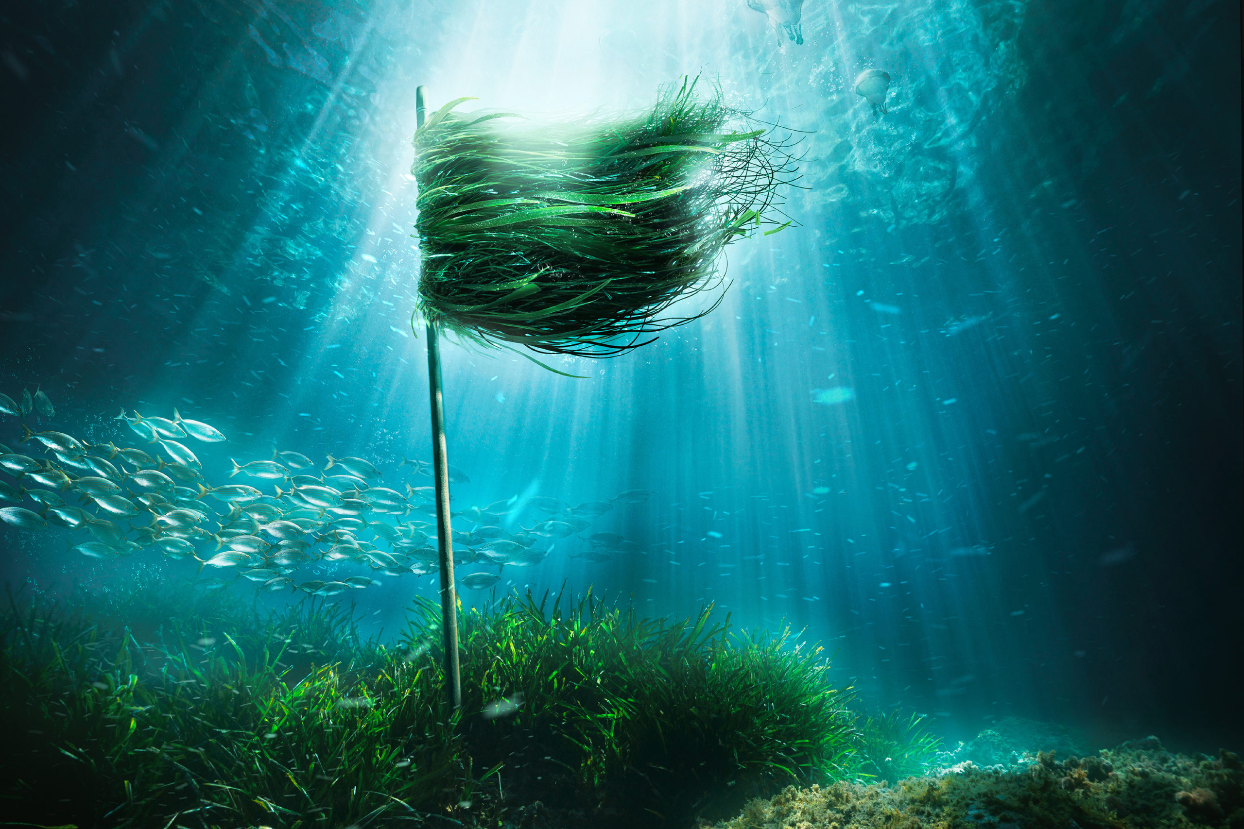 Respect Your Capital