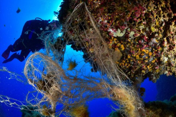 48e37649 A670 4227 8c54 9f6073f14b25 48e37649 A670 4227 8c54 9f6073f14b25