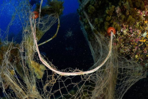 58537f43 612a 44f7 8f24 B172af813b17 58537f43 612a 44f7 8f24 B172af813b17