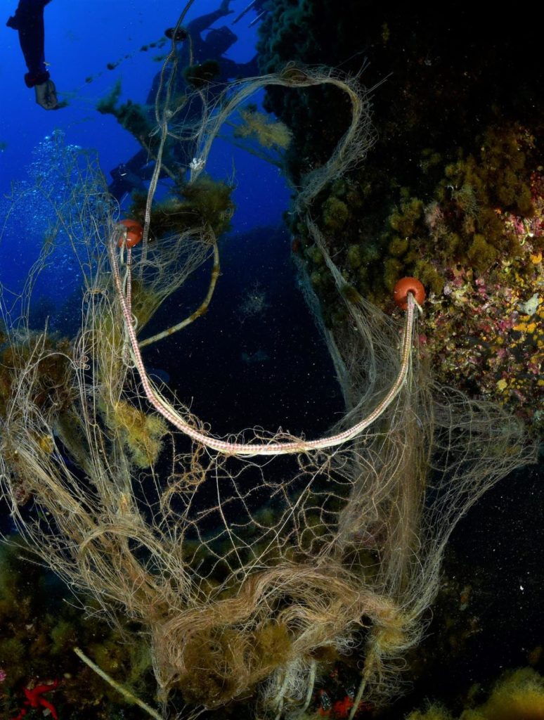 58537f43 612a 44f7 8f24 B172af813b17