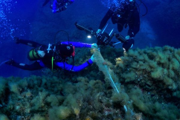 684329fa 0a1b 4d4c 9425 83a0078e290c 684329fa 0a1b 4d4c 9425 83a0078e290c