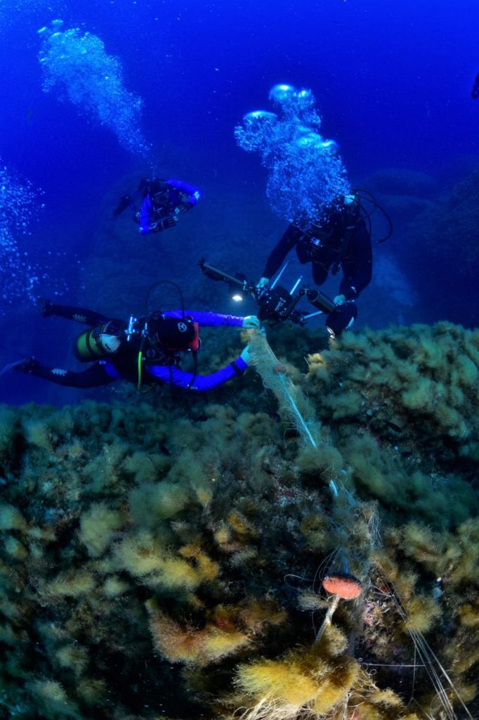 684329fa 0a1b 4d4c 9425 83a0078e290c