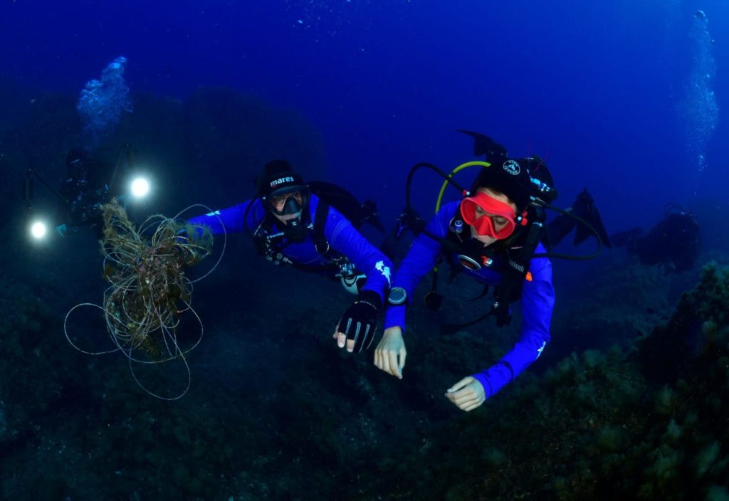 8c3bef44 65f3 4829 A868 7af7ce274ef2