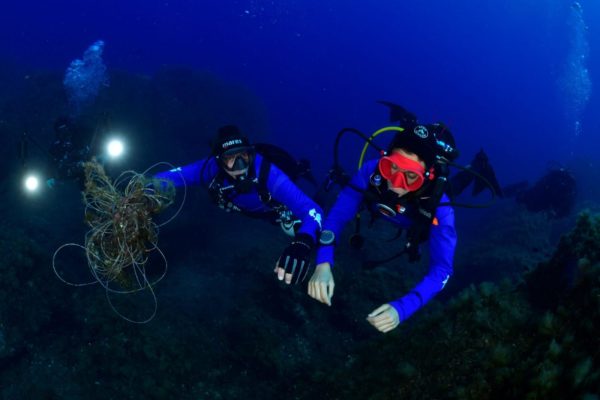 8c3bef44 65f3 4829 A868 7af7ce274ef2 8c3bef44 65f3 4829 A868 7af7ce274ef2