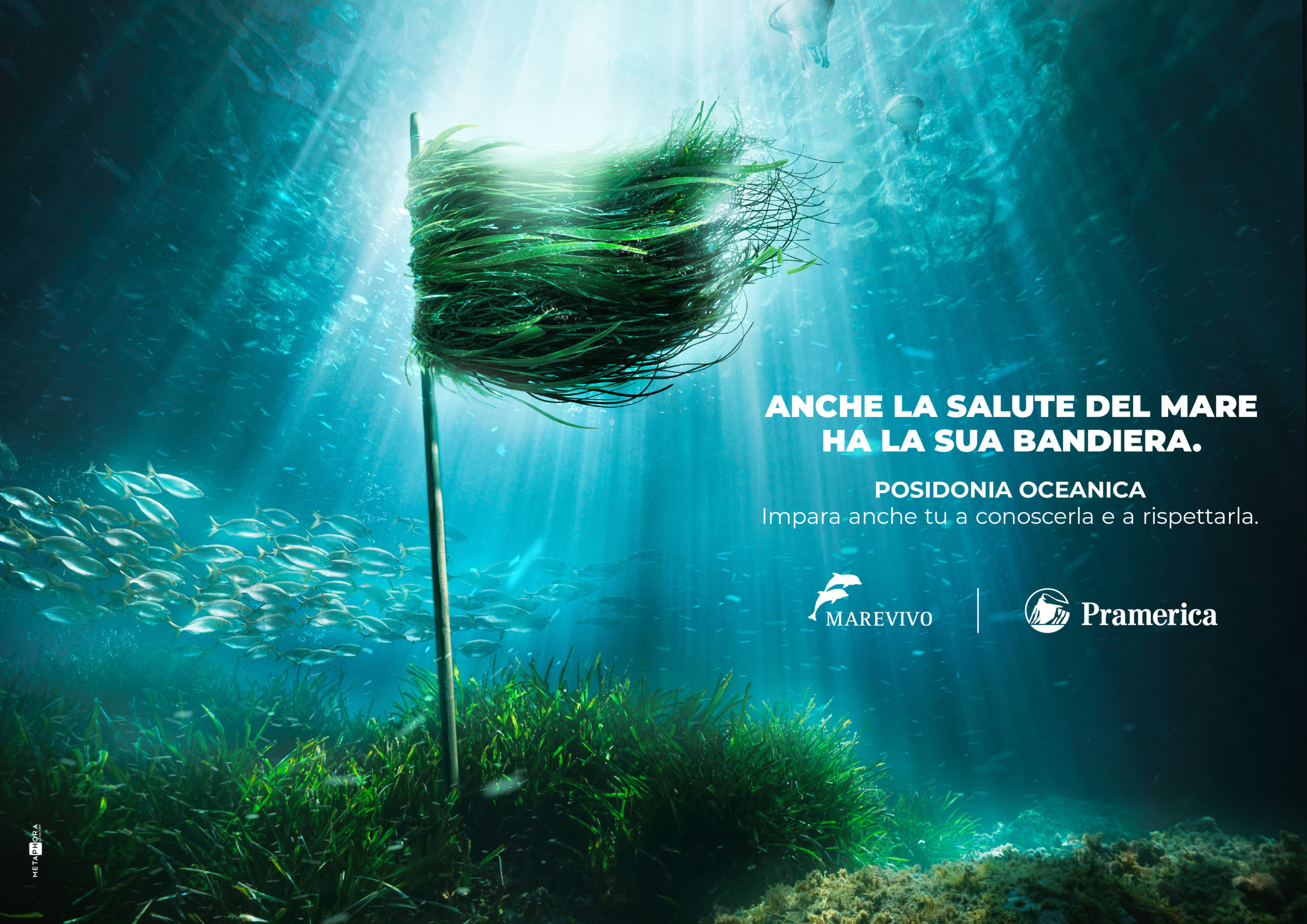 Rispetta il tuo capitale