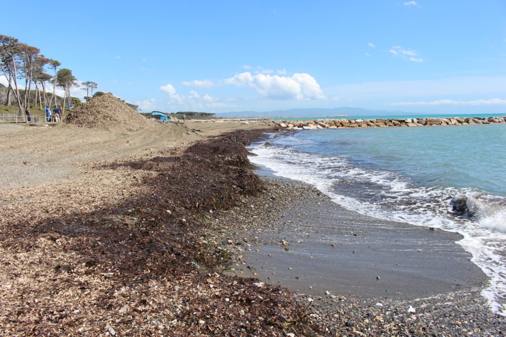 Spiaggia Le Gorette 3