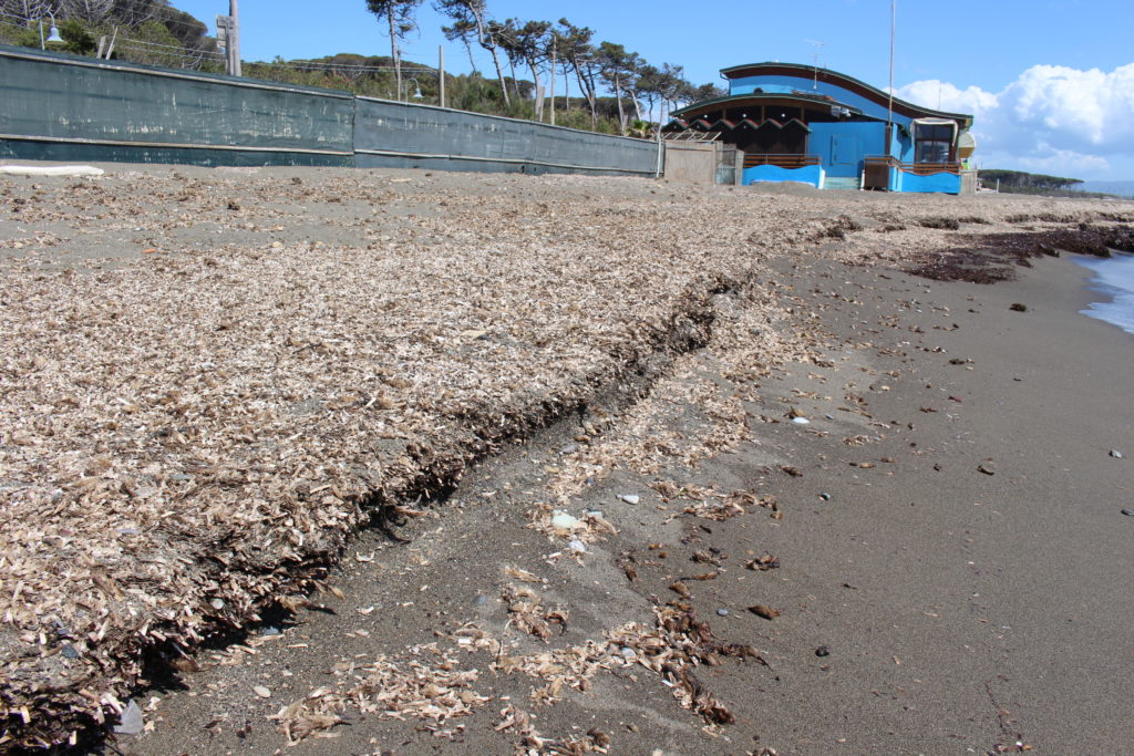 Spiaggia Le Gorette 2 Maggio 2020