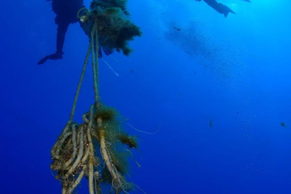 Bccd310b 45f3 43b9 B49e Cf0a0e8ff2e6 Bccd310b 45f3 43b9 B49e Cf0a0e8ff2e6