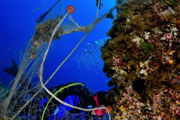 D3fbbaa5 Bd18 4e21 A028 F5546e7edf85 D3fbbaa5 Bd18 4e21 A028 F5546e7edf85