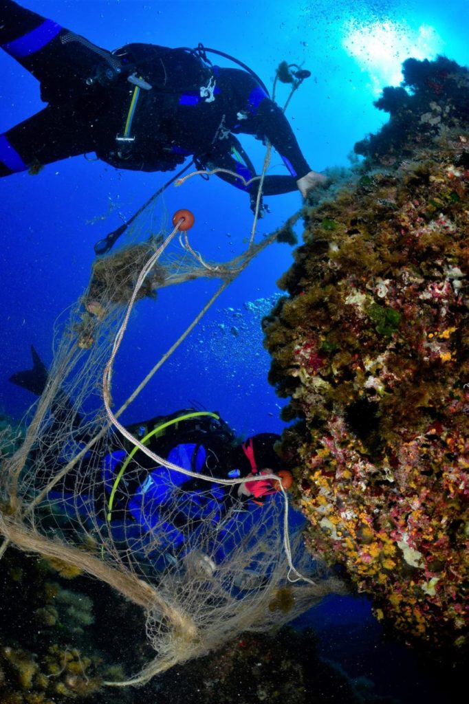 D3fbbaa5 Bd18 4e21 A028 F5546e7edf85