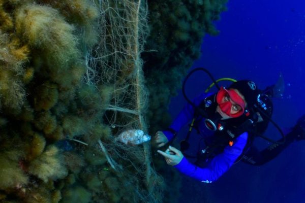 Daa84124 D9b4 4b8a 89f0 76f360630cfe Daa84124 D9b4 4b8a 89f0 76f360630cfe