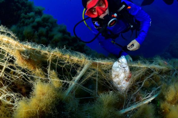 Recupero Rete 2 Recupero Rete 2