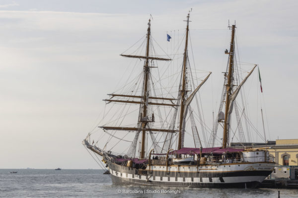 Barcolana 55 Barcolana 55