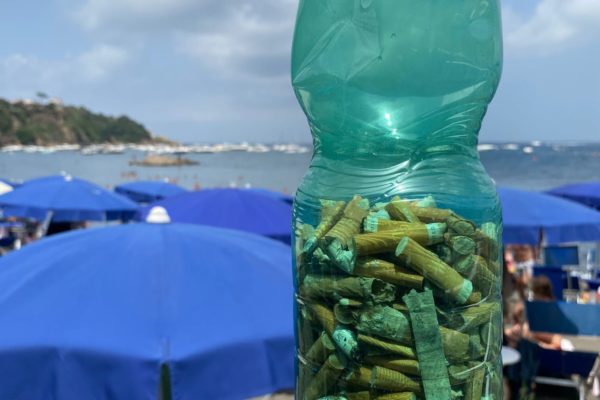 Marevivo 5 Marevivo 5