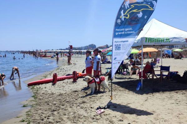 WhatsApp Image 2023 07 25 At 12.51.26 WhatsApp Image 2023 07 25 At 12.51.26