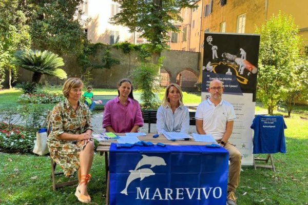 WhatsApp Image 2023 08 28 At 16.38.26 WhatsApp Image 2023 08 28 At 16.38.26