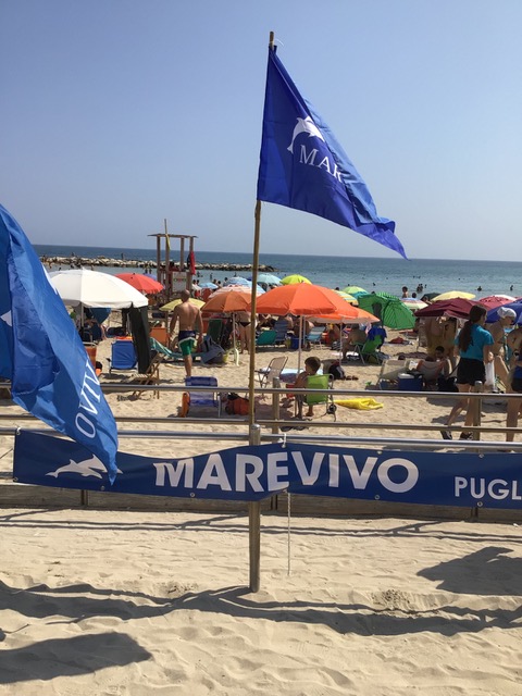 WhatsApp Image 2025 06 14 At 17.30.32 (3)