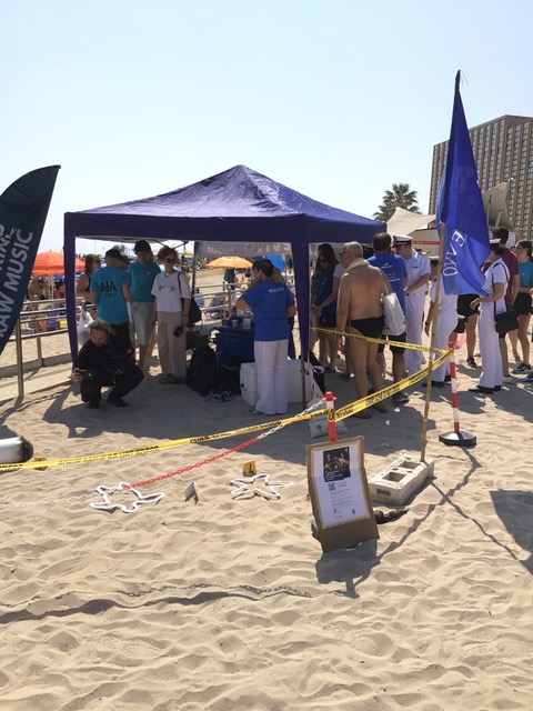 WhatsApp Image 2025 06 14 At 17.30.33 (4)