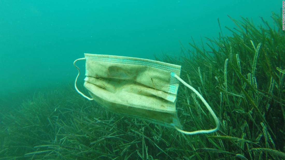 Marevivo alle istituzioni: “Servono chiarimenti su distribuzione, uso e smaltimento delle mascherine nelle scuole”