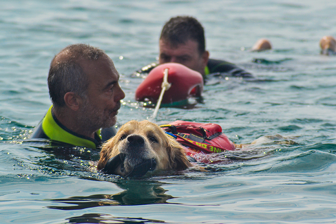 I cani da salvataggio al fianco di Marevivo