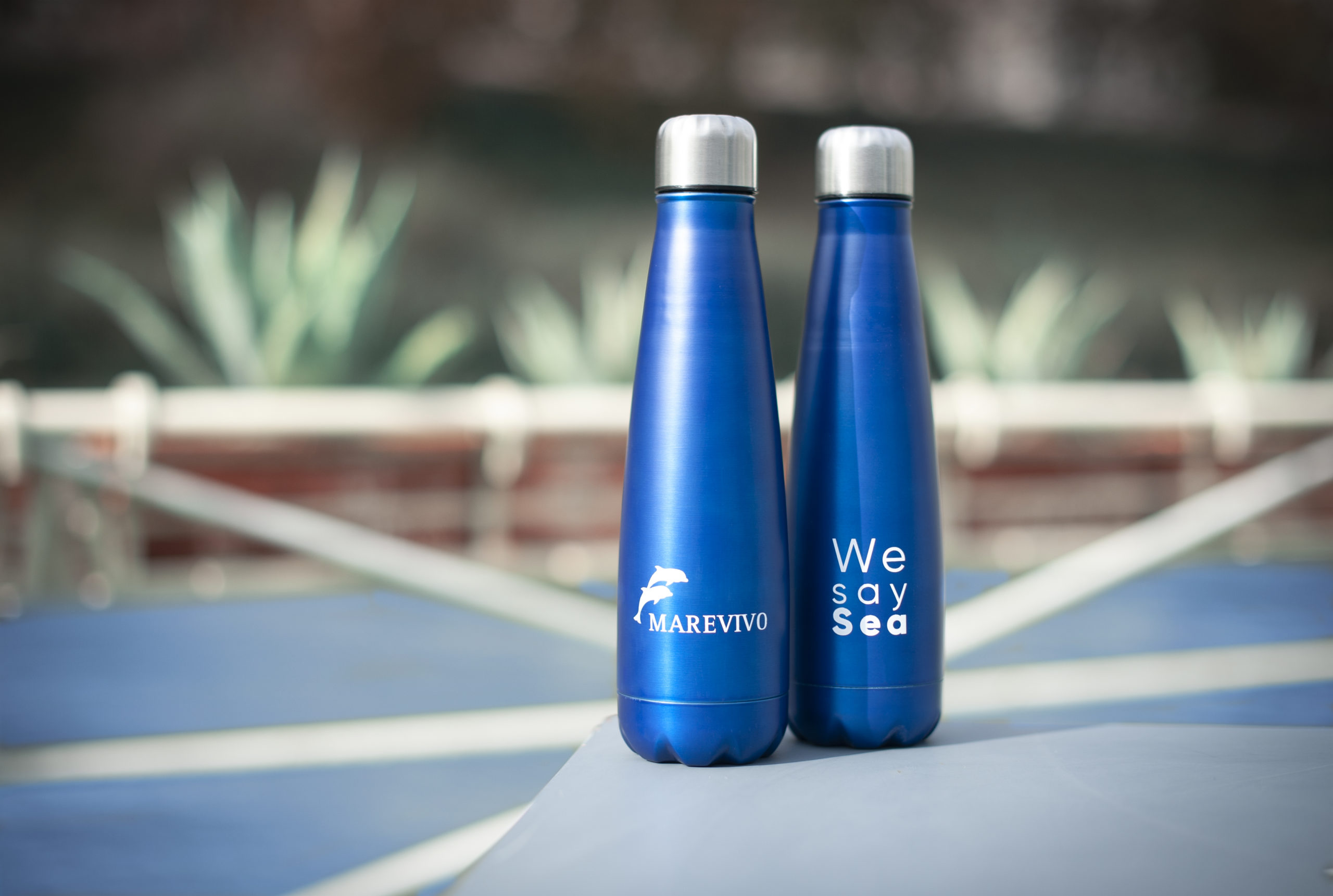 Anche la borraccia nel Paniere ISTAT 2021