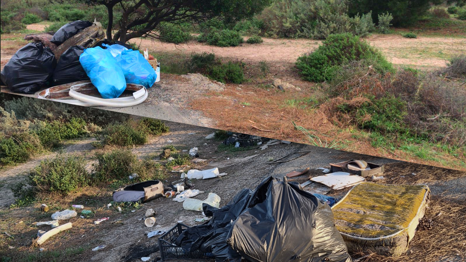 Volontari di Marevivo ripuliscono una spiaggia. Due settimane dopo è di nuovo una discarica