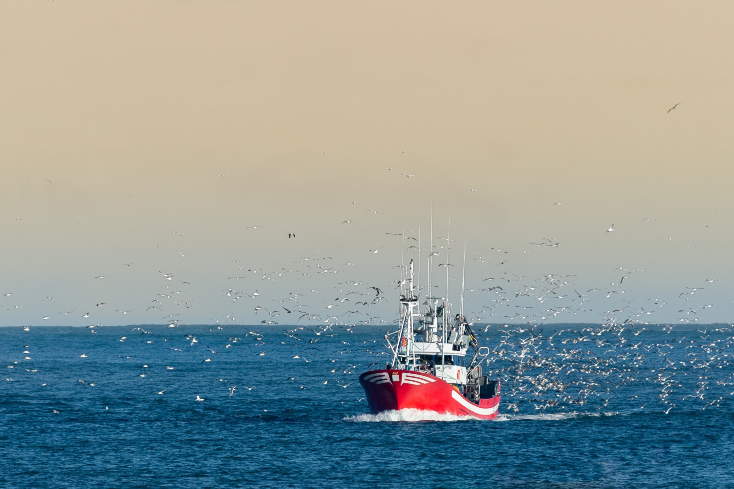 NGOs urge the European Parliament to end secrecy in how fishing rules are enforced